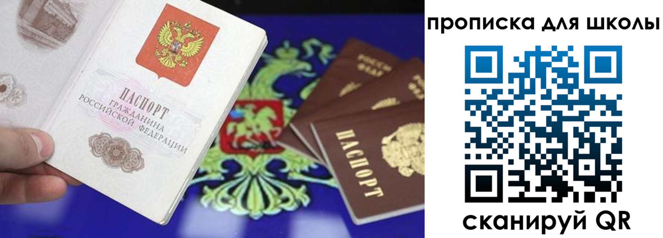 прописка в квартире в Мордовии